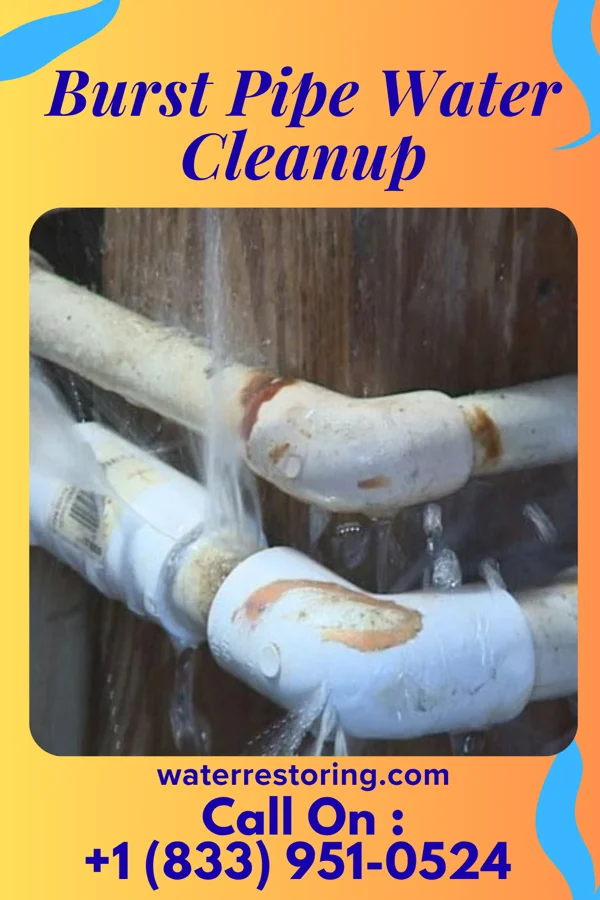 Burst Pipe Water Cleanup in Brooklyn, IL